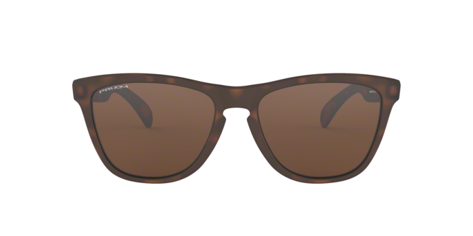 Oakley Frogskins Sunglasses - OO9013 9013C5