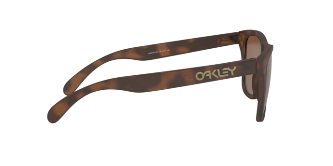 Oakley Frogskins Sunglasses - OO9013 9013C5