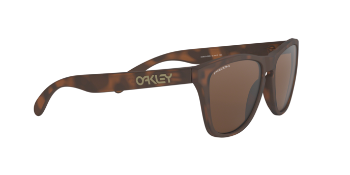 Oakley Frogskins Sunglasses - OO9013 9013C5