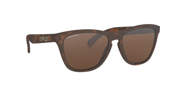 Oakley Frogskins Sunglasses - OO9013 9013C5