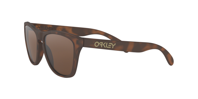 Oakley Frogskins Sunglasses - OO9013 9013C5