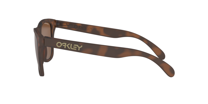 Oakley Frogskins Sunglasses - OO9013 9013C5