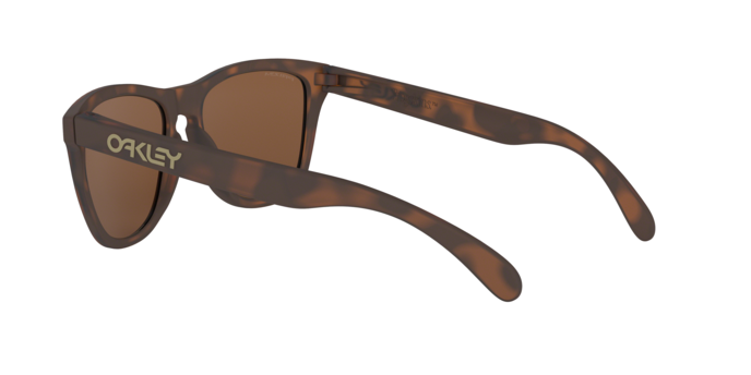 Oakley Frogskins Sunglasses - OO9013 9013C5