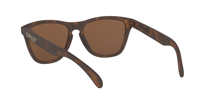 Oakley Frogskins Sunglasses - OO9013 9013C5