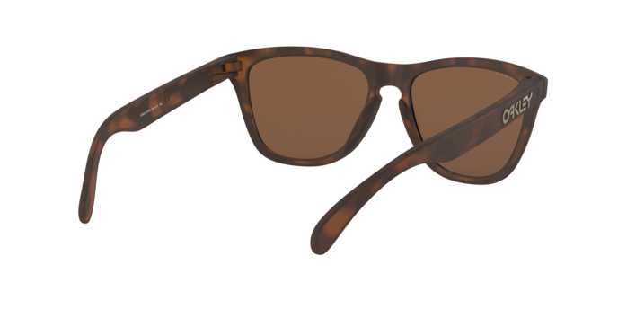 Oakley Frogskins Sunglasses - OO9013 9013C5