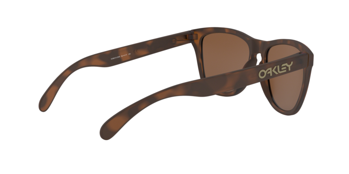 Oakley Frogskins Sunglasses - OO9013 9013C5