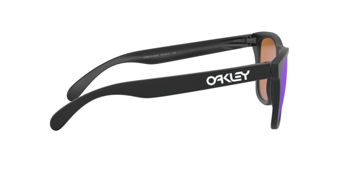Oakley Frogskins Sunglasses - OO9013 9013H6