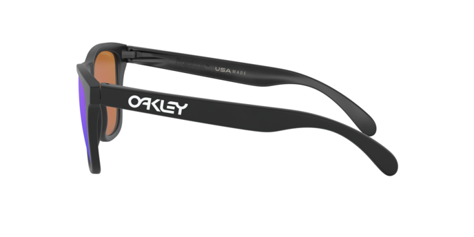 Oakley Frogskins Sunglasses - OO9013 9013H6