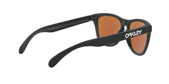Oakley Frogskins Sunglasses - OO9013 9013H6