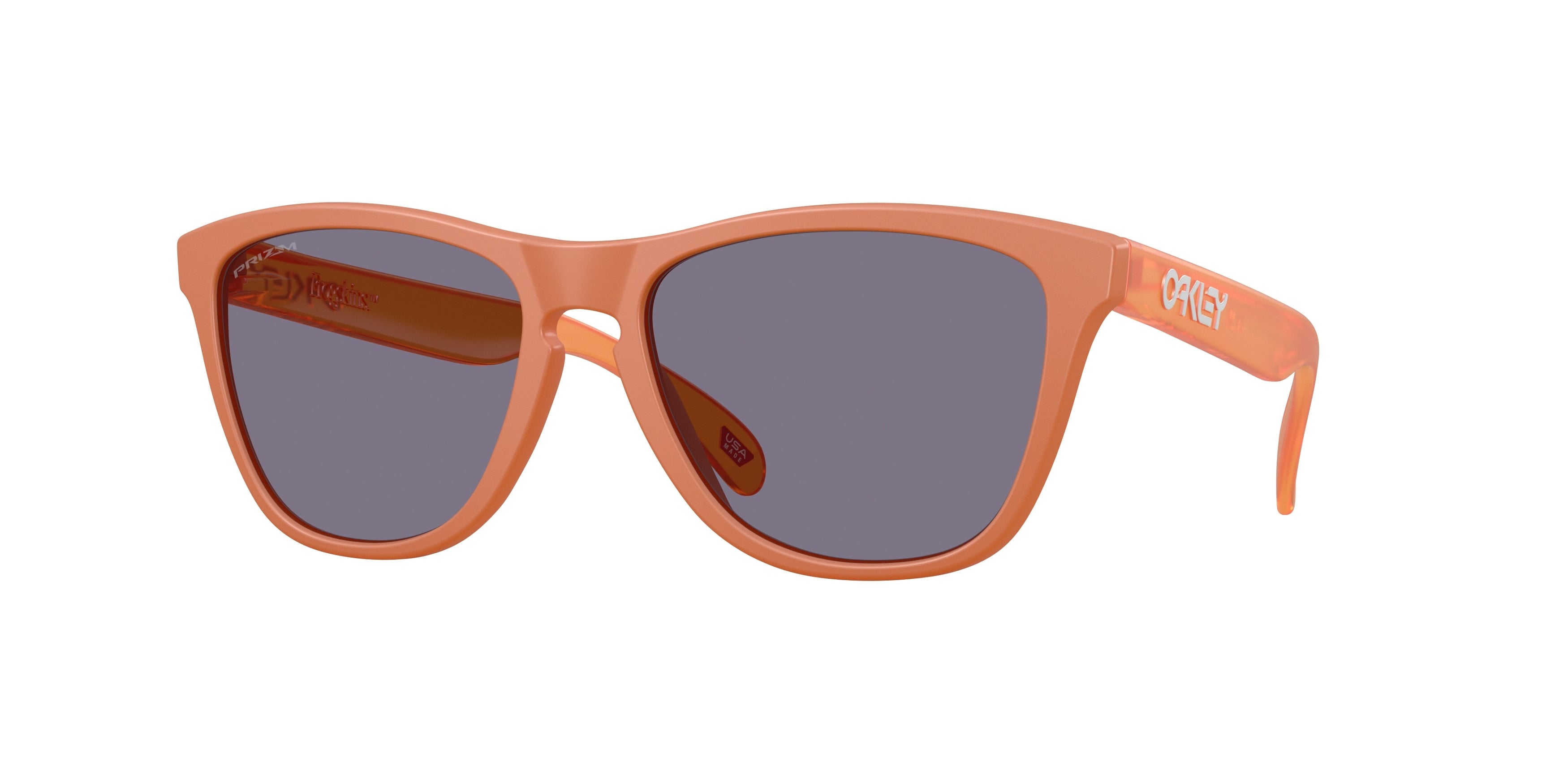 Oakley Frogskins Sunglasses - OO9013 9013M1