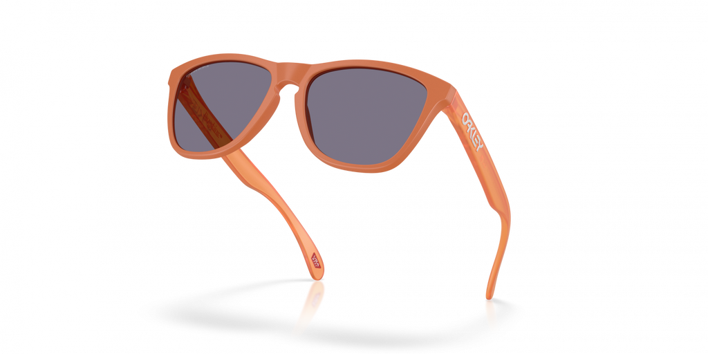 Oakley Frogskins Sunglasses - OO9013 9013M1