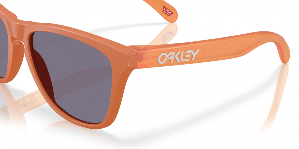 Oakley Frogskins Sunglasses - OO9013 9013M1