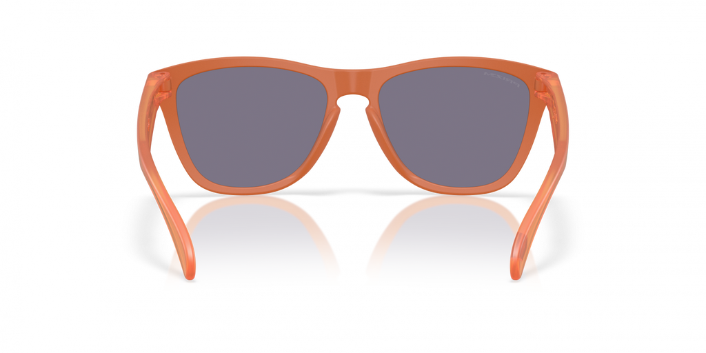 Oakley Frogskins Sunglasses - OO9013 9013M1