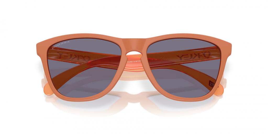Oakley Frogskins Sunglasses - OO9013 9013M1
