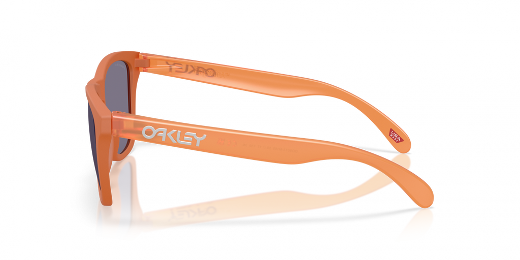 Oakley Frogskins Sunglasses - OO9013 9013M1