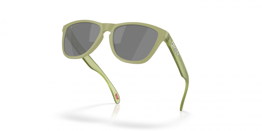 Oakley Frogskins Sunglasses - OO9013 9013M2