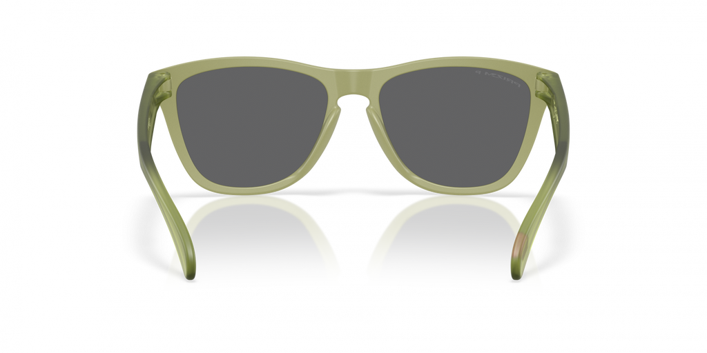 Oakley Frogskins Sunglasses - OO9013 9013M2