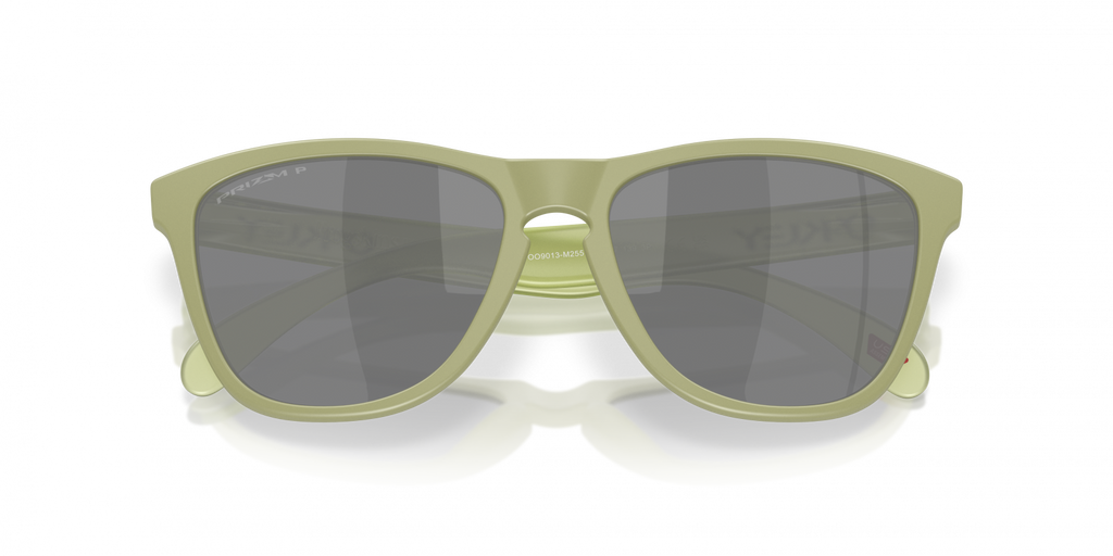 Oakley Frogskins Sunglasses - OO9013 9013M2