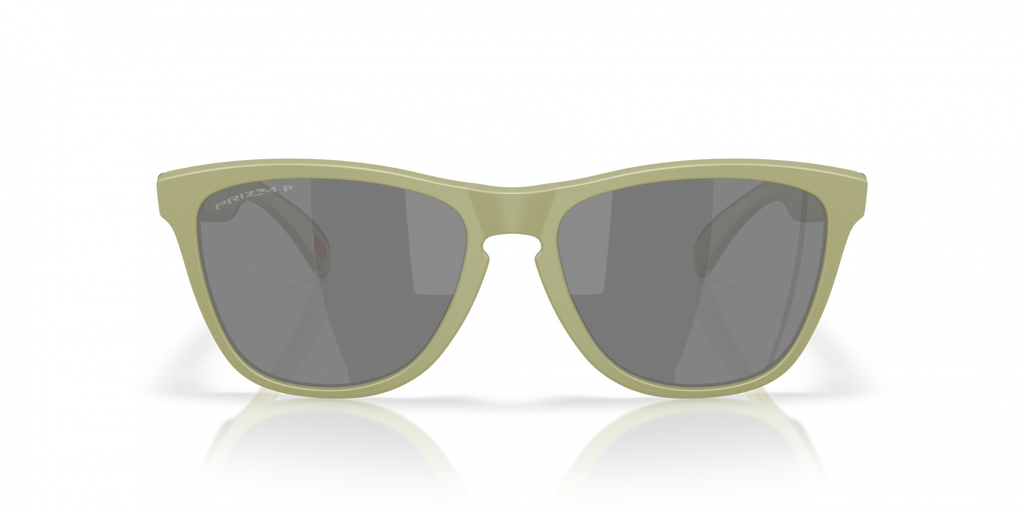 Oakley Frogskins Sunglasses - OO9013 9013M2