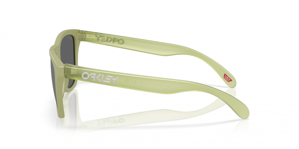 Oakley Frogskins Sunglasses - OO9013 9013M2