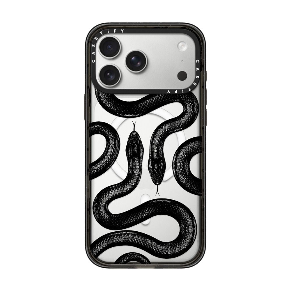 Black Kingsnake iPhone Case
