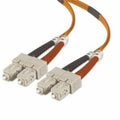 Belkin 1m SC/SC Multimode Duplex Patch Cable