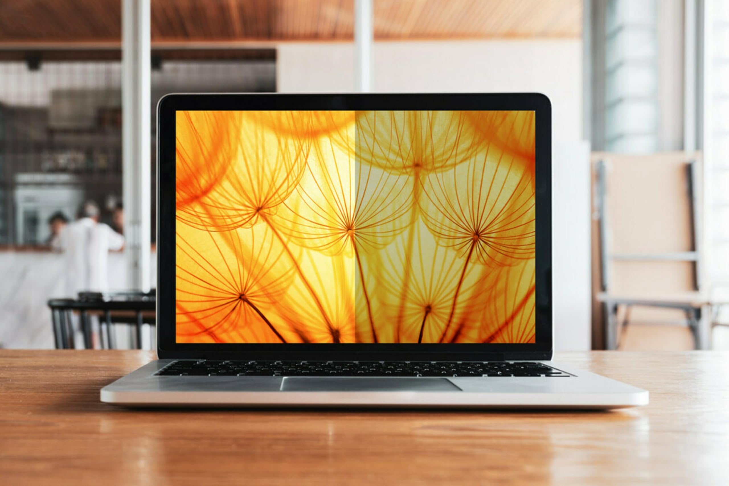 3M Bright Screen Privacy Filter for Dell Multi-LINe Laptops 13IN