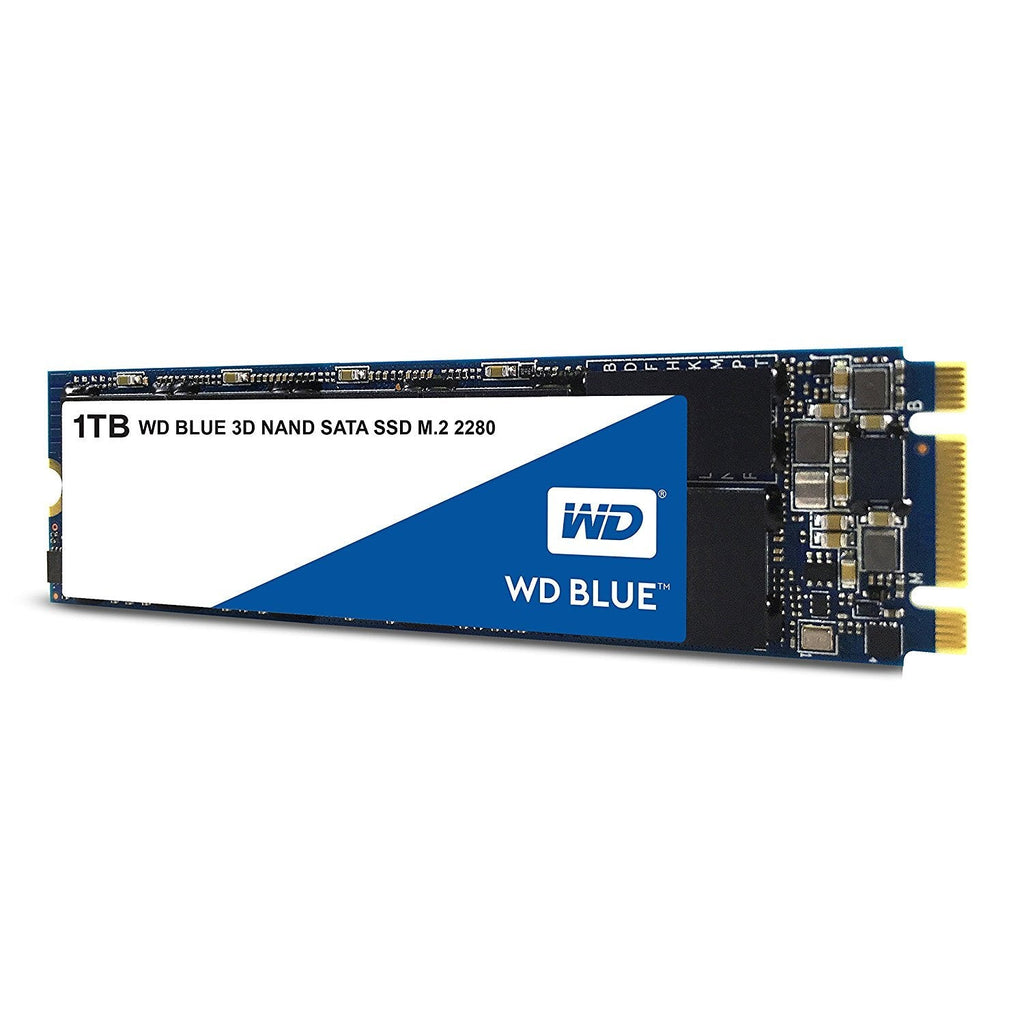 WD Blue 3D NAND Internal SSD M.2 SATA - 1 TB, Blue - High Performance