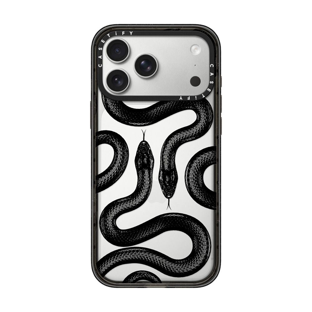 Black Kingsnake iPhone Case